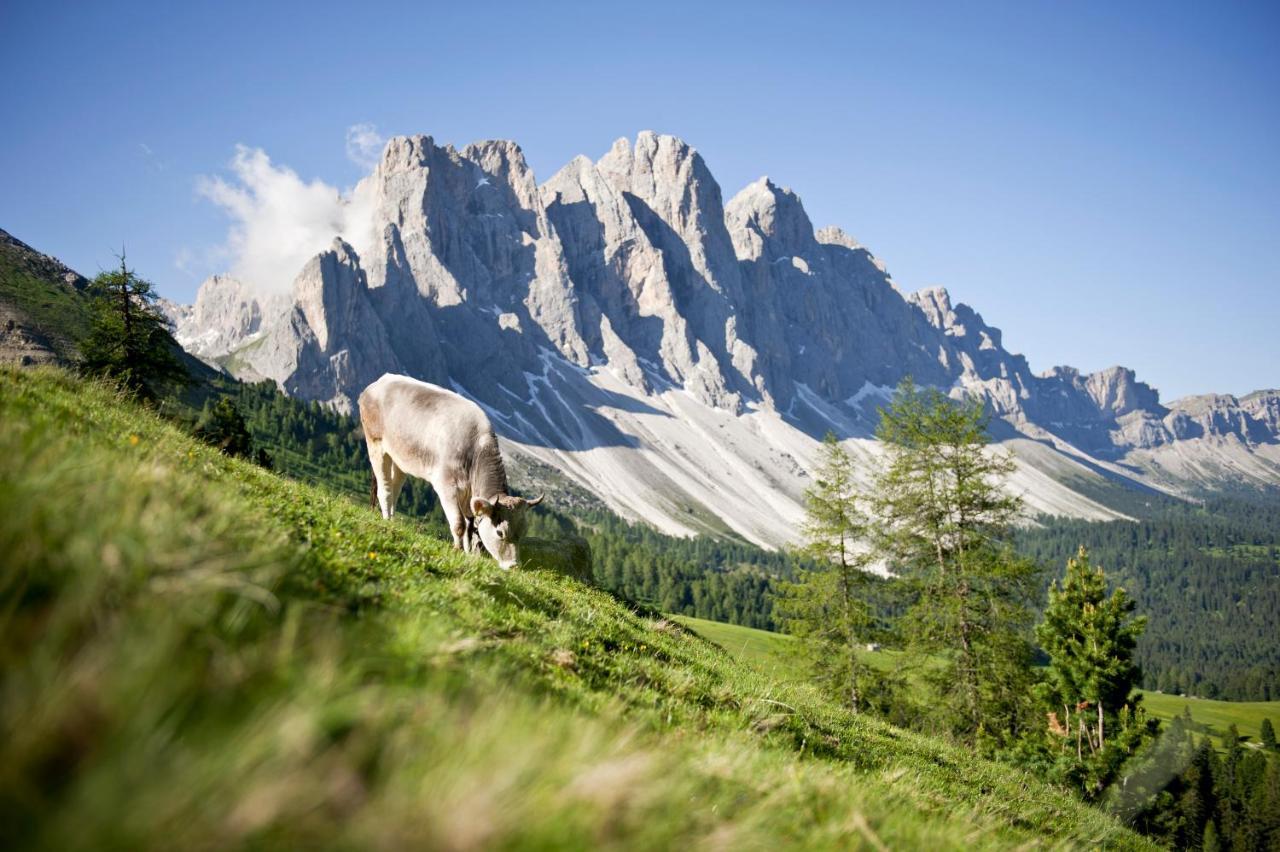 Raschoetzhof Funes  Bagian luar foto