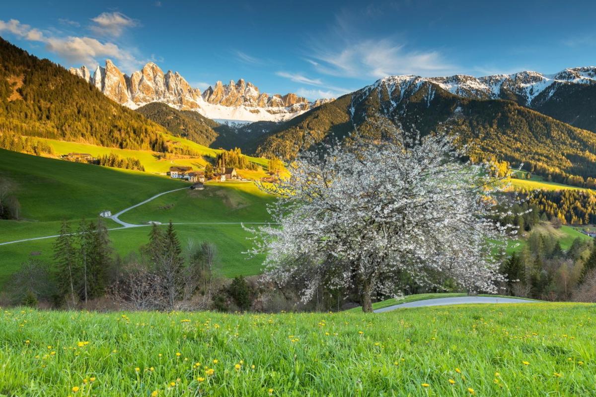 Raschoetzhof Funes  Bagian luar foto